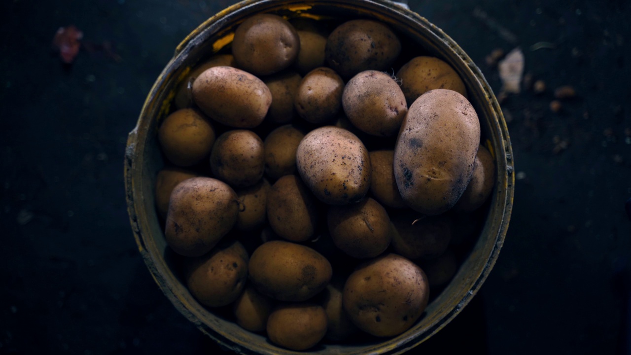 一桶白土豆放在画面中央，特写，俯视图。地窖里的自制蔬菜视频素材
