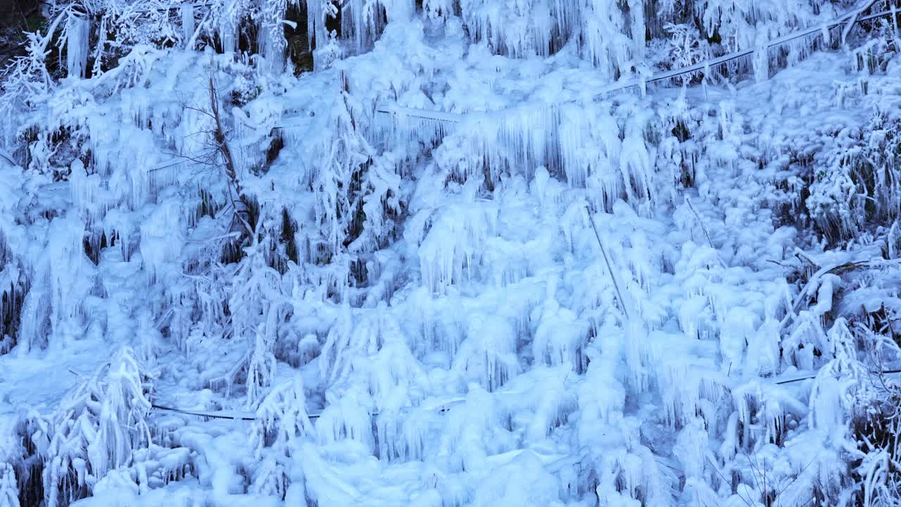 森林上的冰视频素材