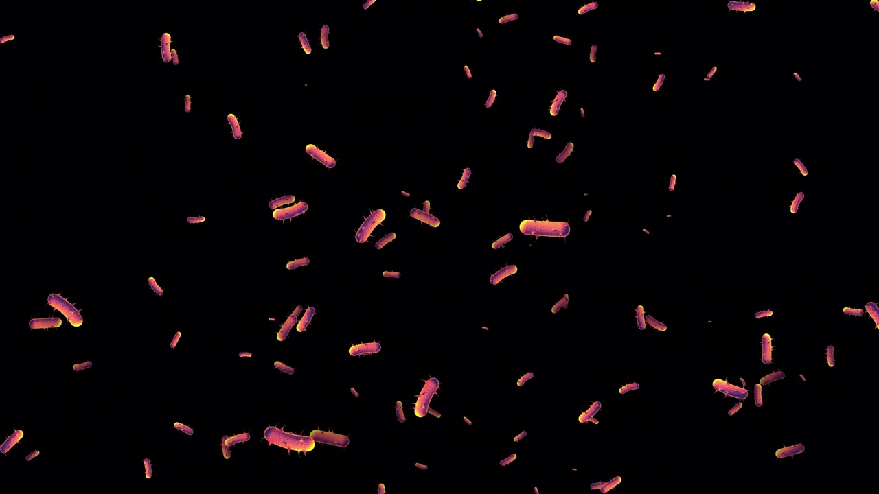 细菌从天而降的动画视频下载