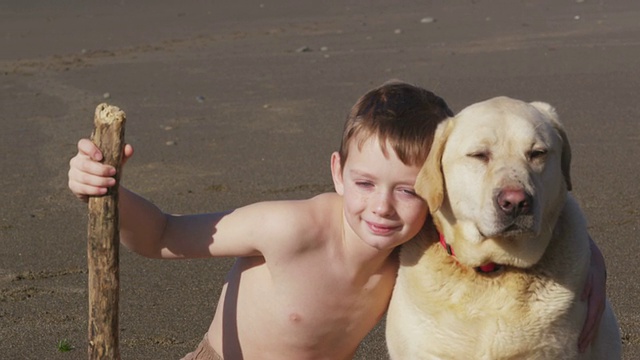 小男孩和小狗在海滩上视频素材
