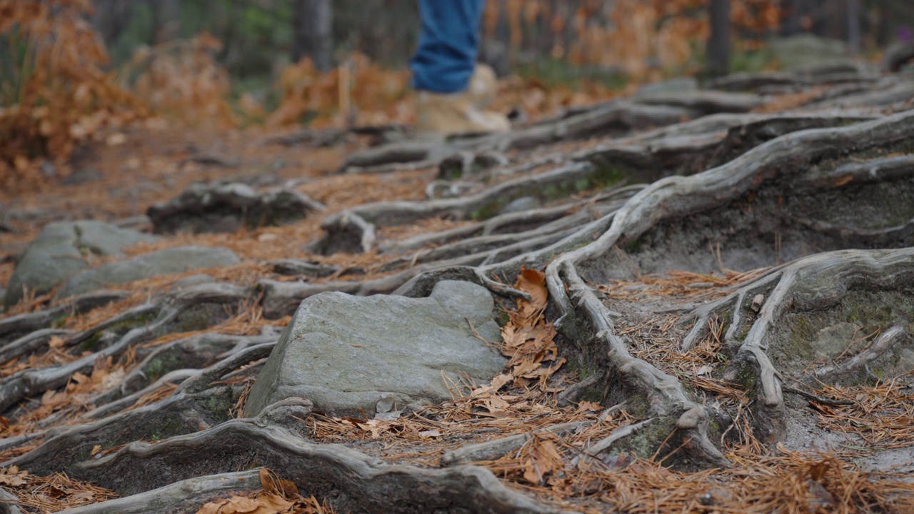 一个人在山上徒步，他的脚在森林里的小路上行走视频下载