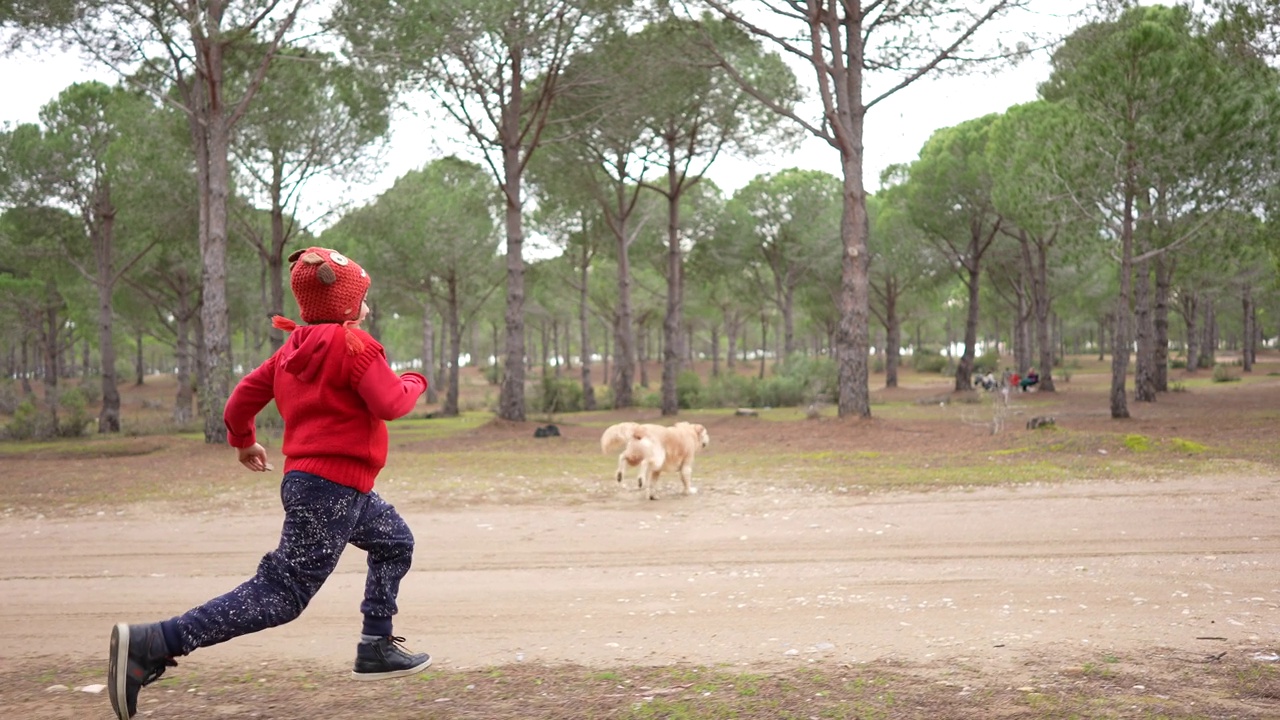 快乐的小男孩带着他的狗在森林里奔跑的慢镜头视频素材