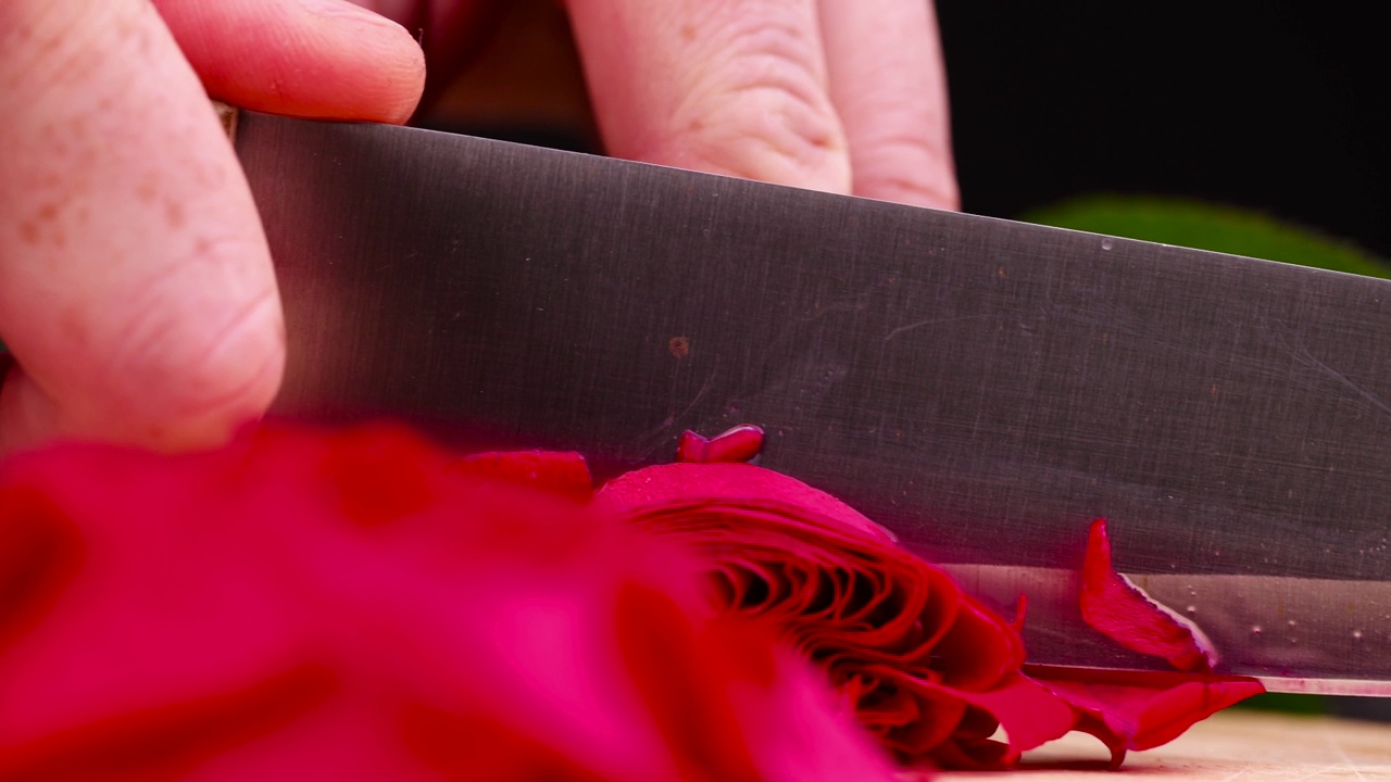 一朵美丽的红玫瑰放在木制的表面上视频下载