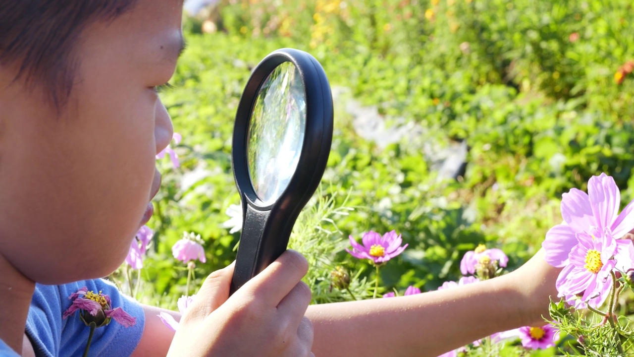亚洲男孩拿着放大镜看花园里的花。视频下载
