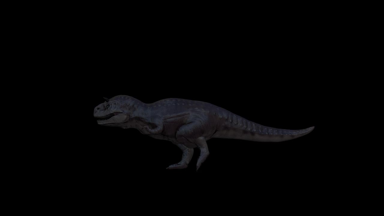 Carnotaurus运行视频素材