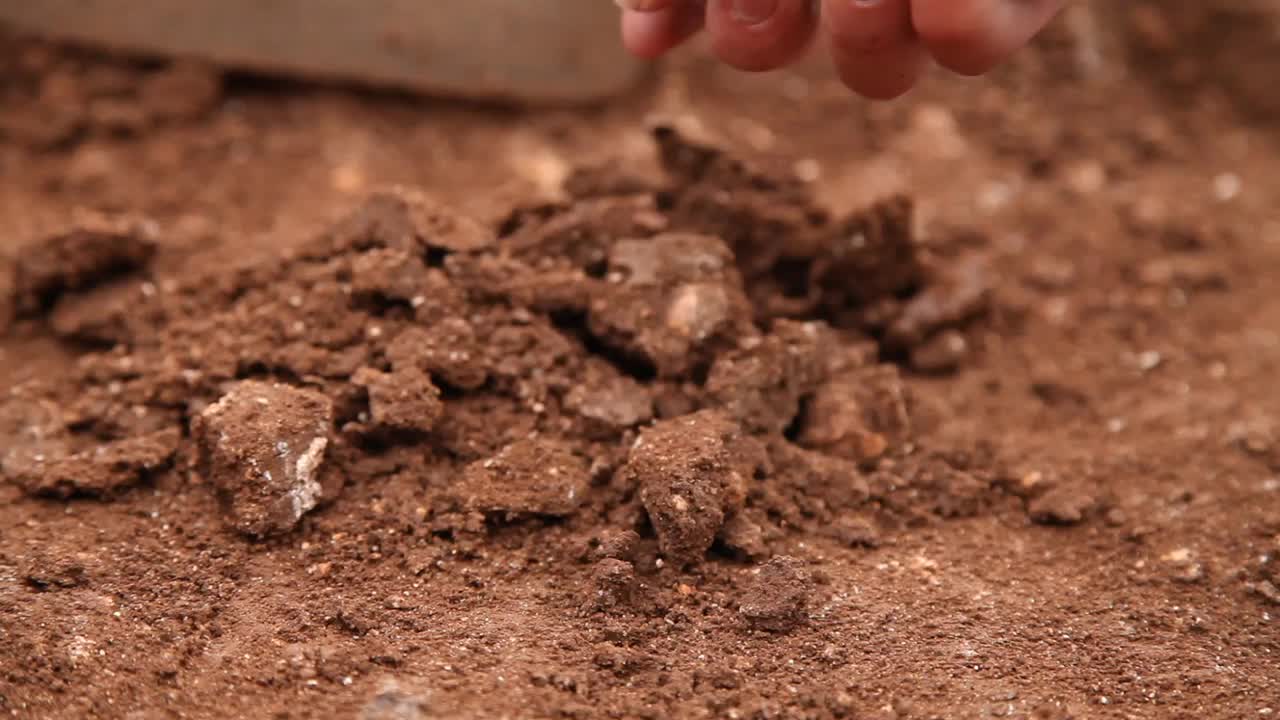 考古学家在历史遗址上使用铲子和铲子视频下载