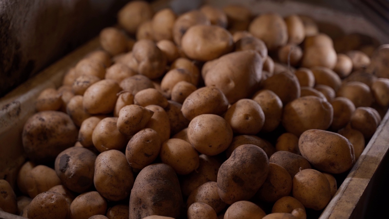 两只手在白色土豆仓库的特写背景上显示了一颗心。顾客对农产品质量的积极反馈。喜欢在地下室自制土豆视频素材