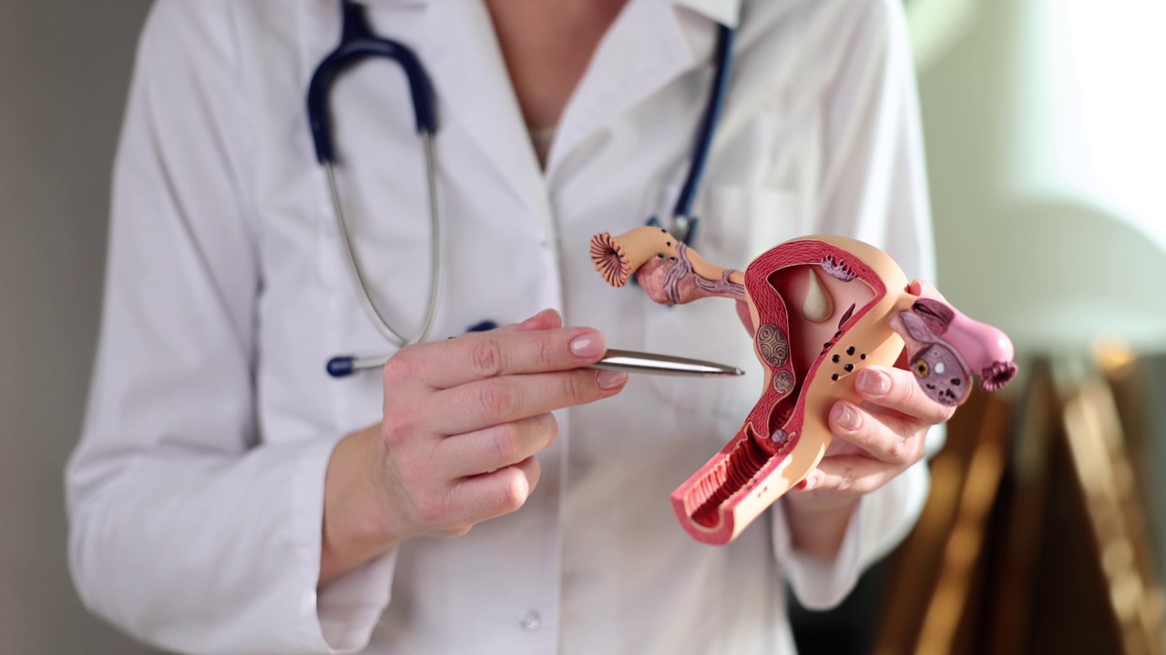 妇科医生展示子宫和卵巢病理解剖模型视频下载