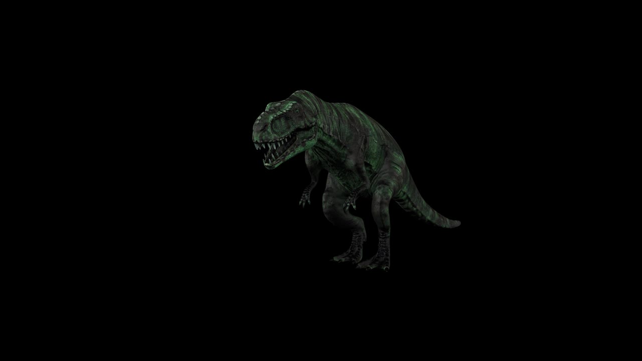 T-rex ıdle Front Side视频下载