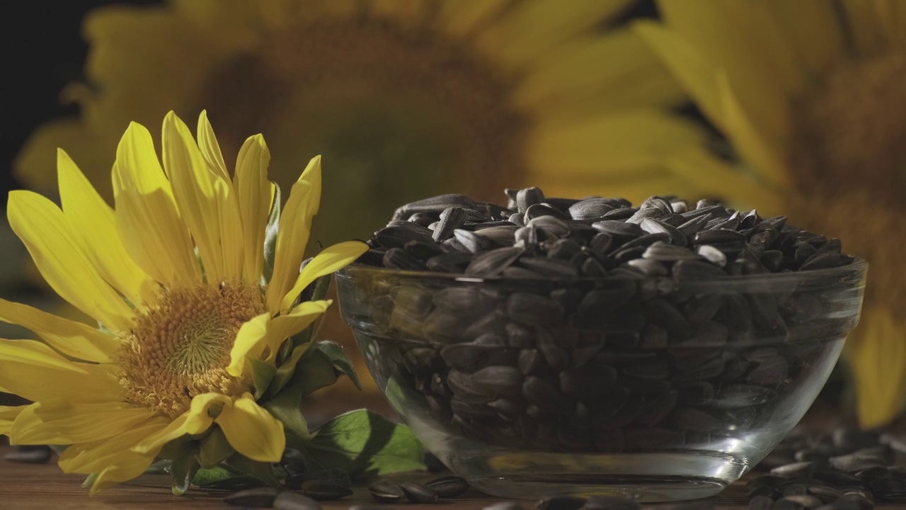 葵花籽油，为黄花葵花籽制造的油视频下载