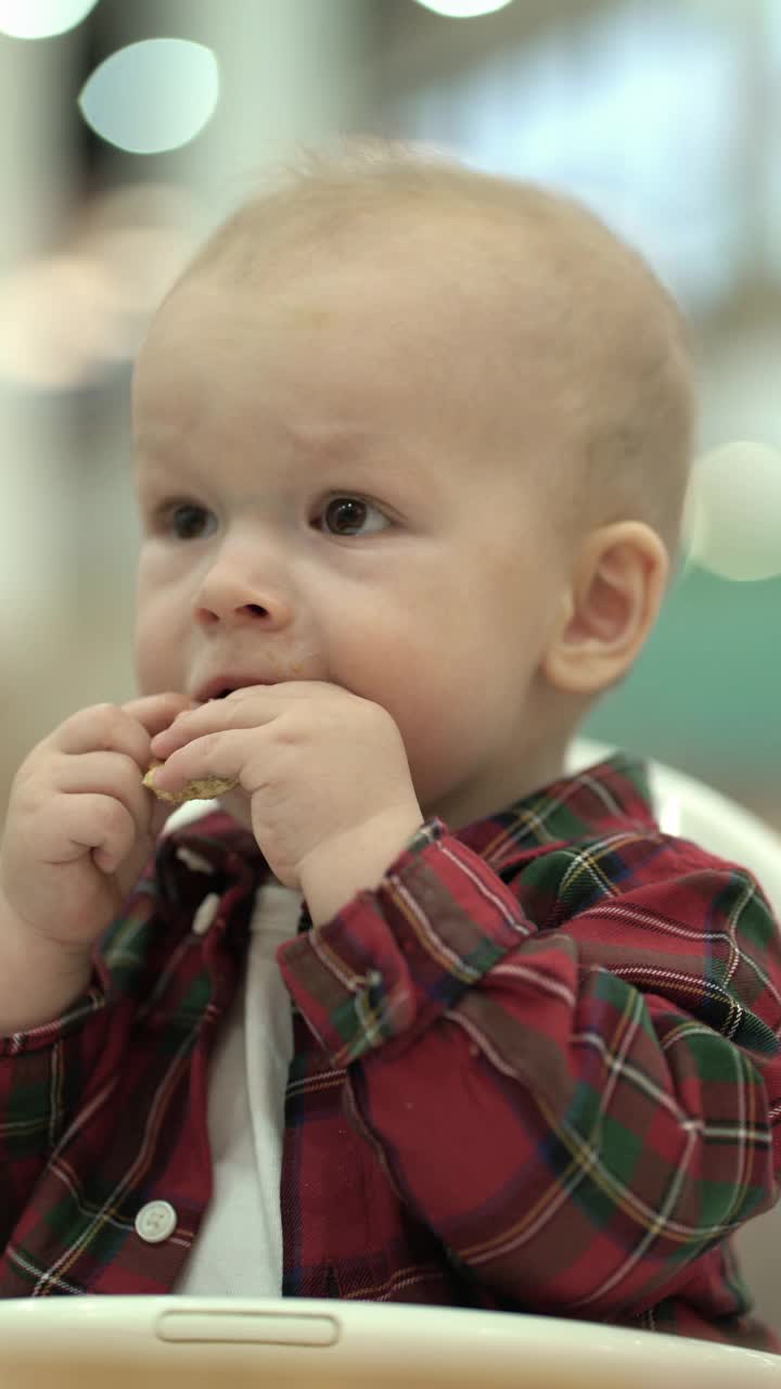 小男孩坐在婴儿椅上吃婴儿饼干视频下载