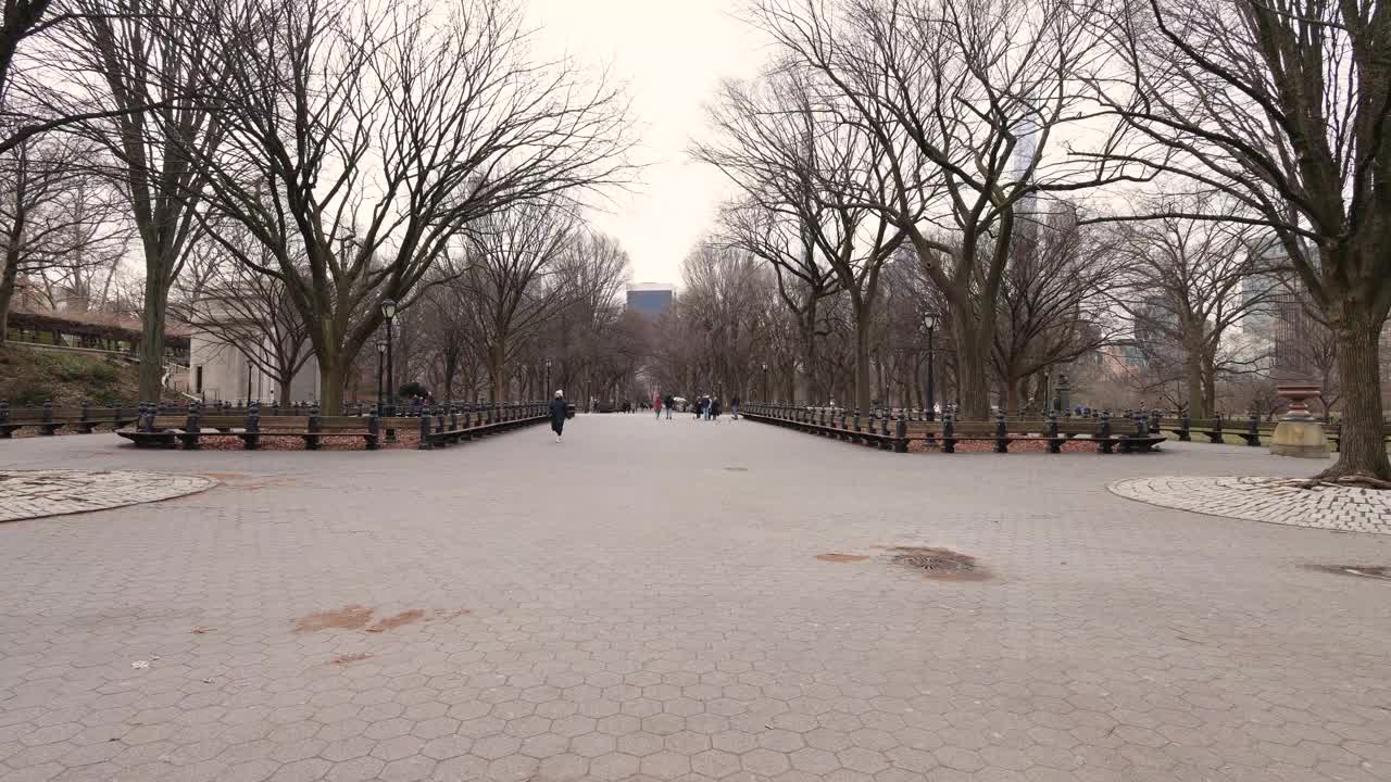 这是美国纽约市中央公园的一段视频，拍摄于一个寒冷的冬天，展示了著名的商业街和文学步道，人们穿着冬装走在路上。视频素材