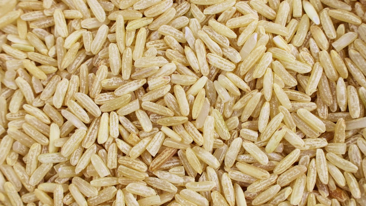 俯视图生糙米种子圈旋转特写视频下载
