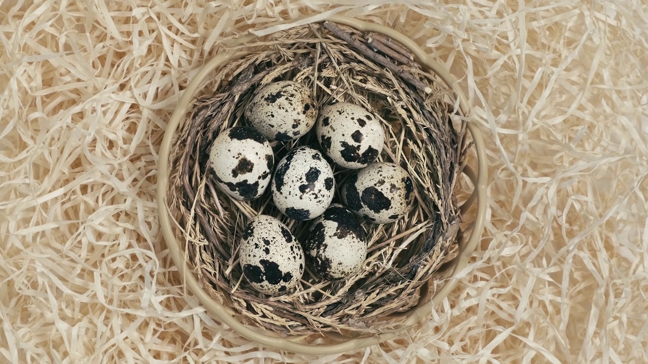 篮子里的鹌鹑蛋在稻草中旋转。复活节快乐。彩蛋在巢里旋转。基督教庆典，家庭传统，平铺俯视图慢动作视频素材