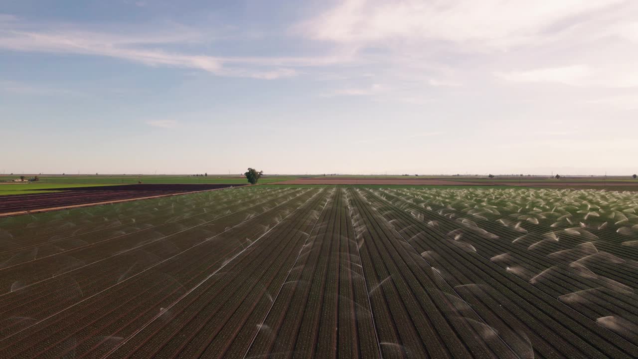 加利福尼亚州的农田在干旱条件下在黄昏部分多云的天空下用影响洒水器灌溉视频素材