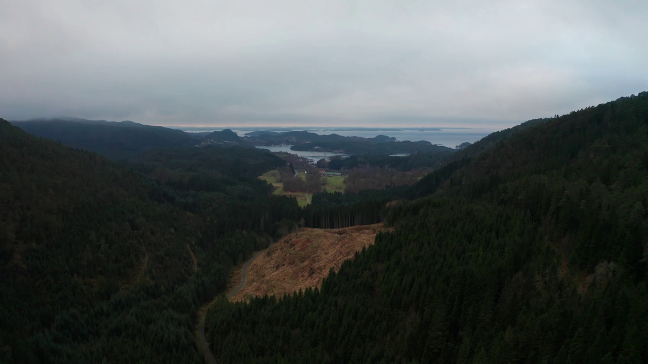 无人机在风景如画的挪威纳罗伊达伦山谷上空拍摄，浓雾笼罩着茂密的森林视频下载