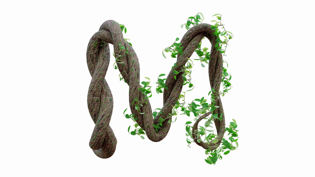 树的生长或藤蔓的形状的英文文本。字母字体M。视频下载