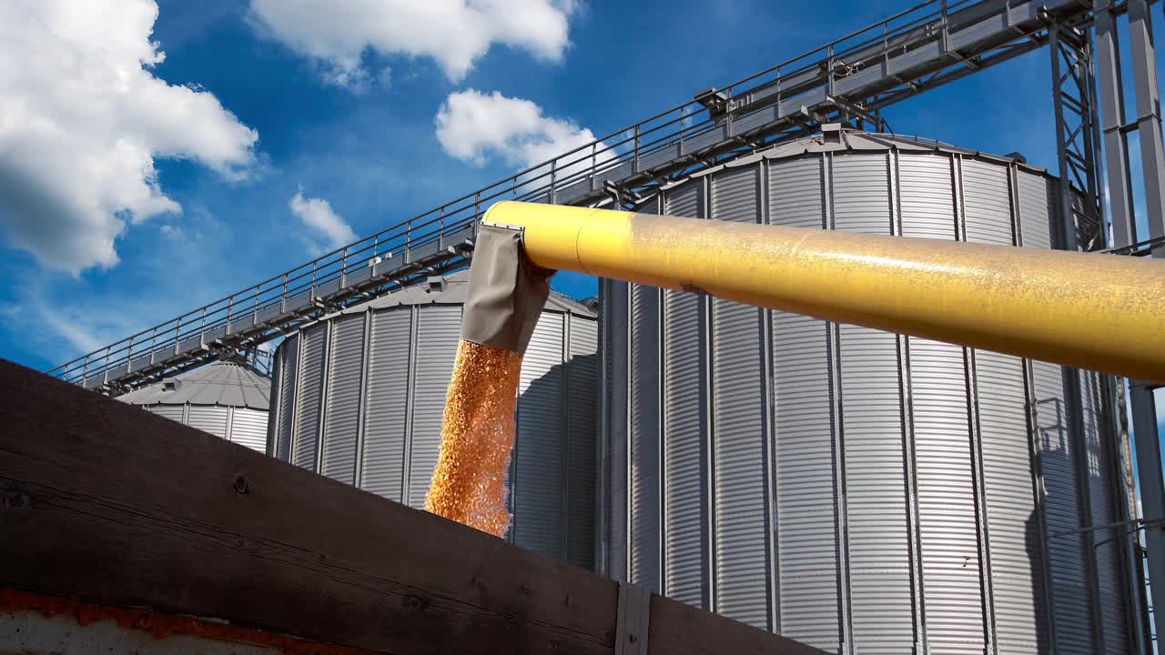 在粮仓前，联合收割机的谷物螺旋钻将玉米灌入拖拉机拖车视频素材