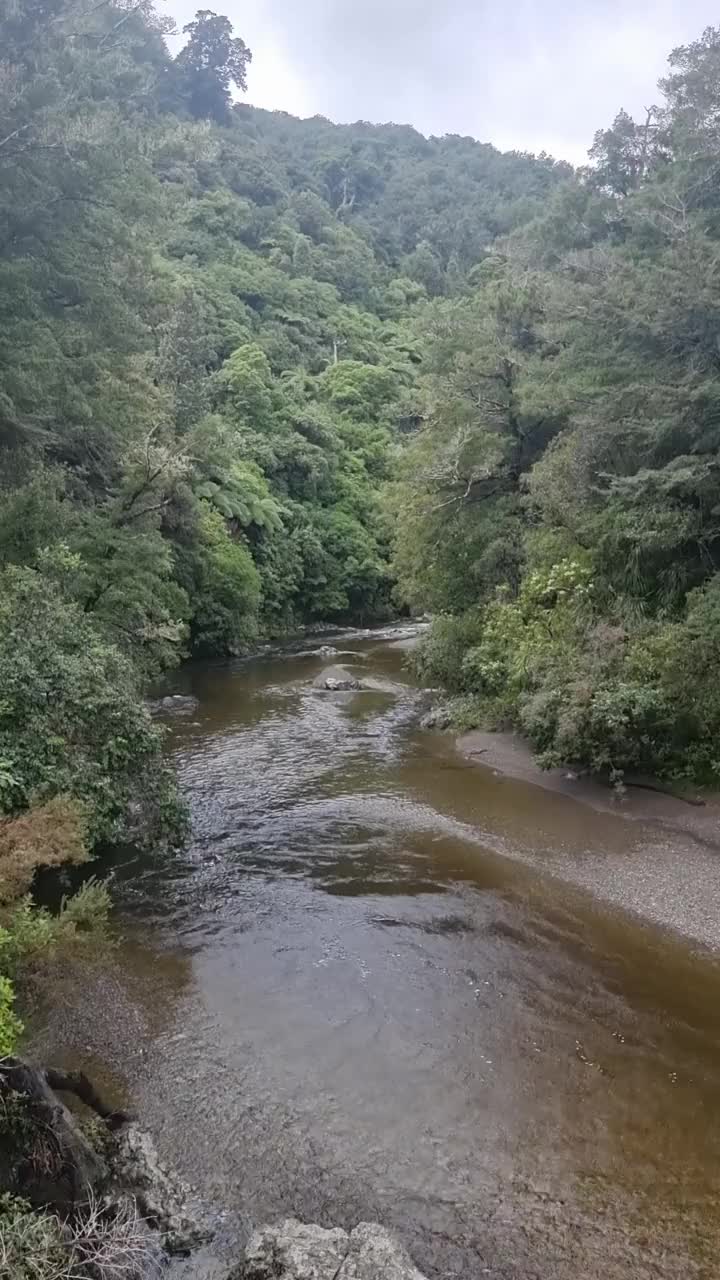 新西兰凯托克河视频素材