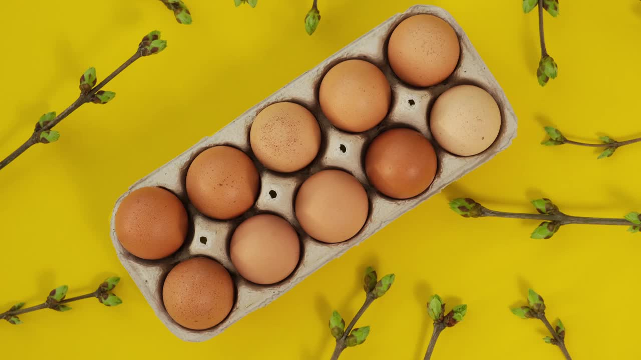 鸡蛋在托盘上旋转，黄色背景上有绿色的弹簧树枝视频素材