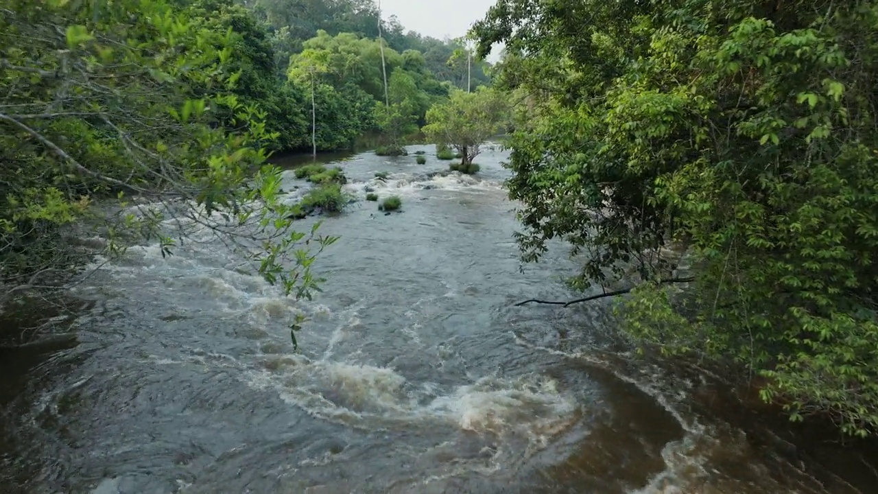 天线。热带雨林中的一条河。气候变化。森林砍伐视频素材