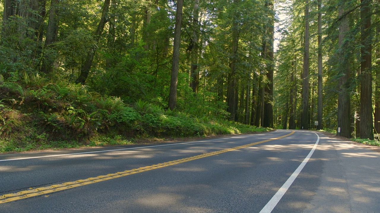 红木公路——在加州Hiouchi的红木国家和州立公园，一个阳光明媚的春日，美国199号公路蜿蜒穿过茂密高耸的巨大海岸红木森林。视频下载
