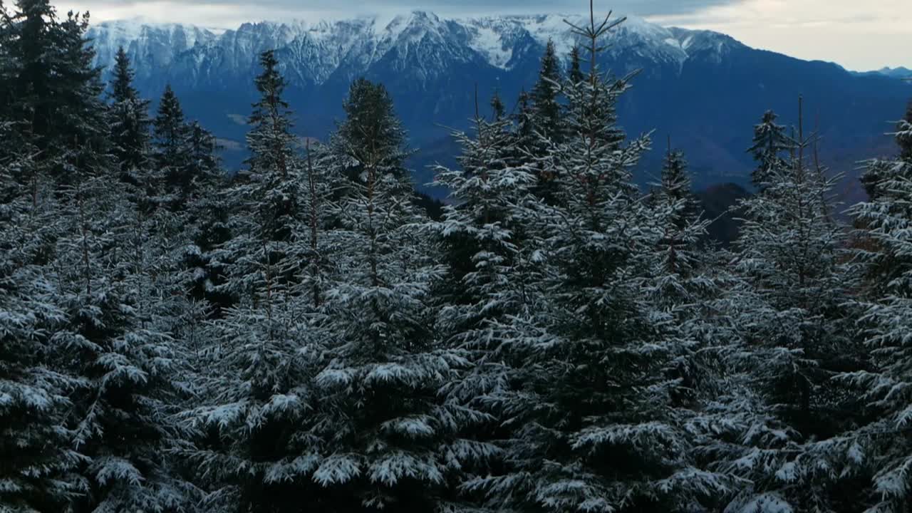 美丽的背景，冬季森林，山脉，罗马尼亚，喀尔巴阡山脉。缓慢的运动。天空，全景，雪峰视频下载