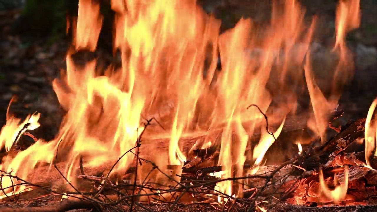 燃烧的火焰和炽热的红色余烬视频素材