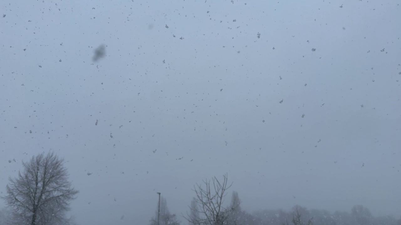 下雪时的雪景视频下载