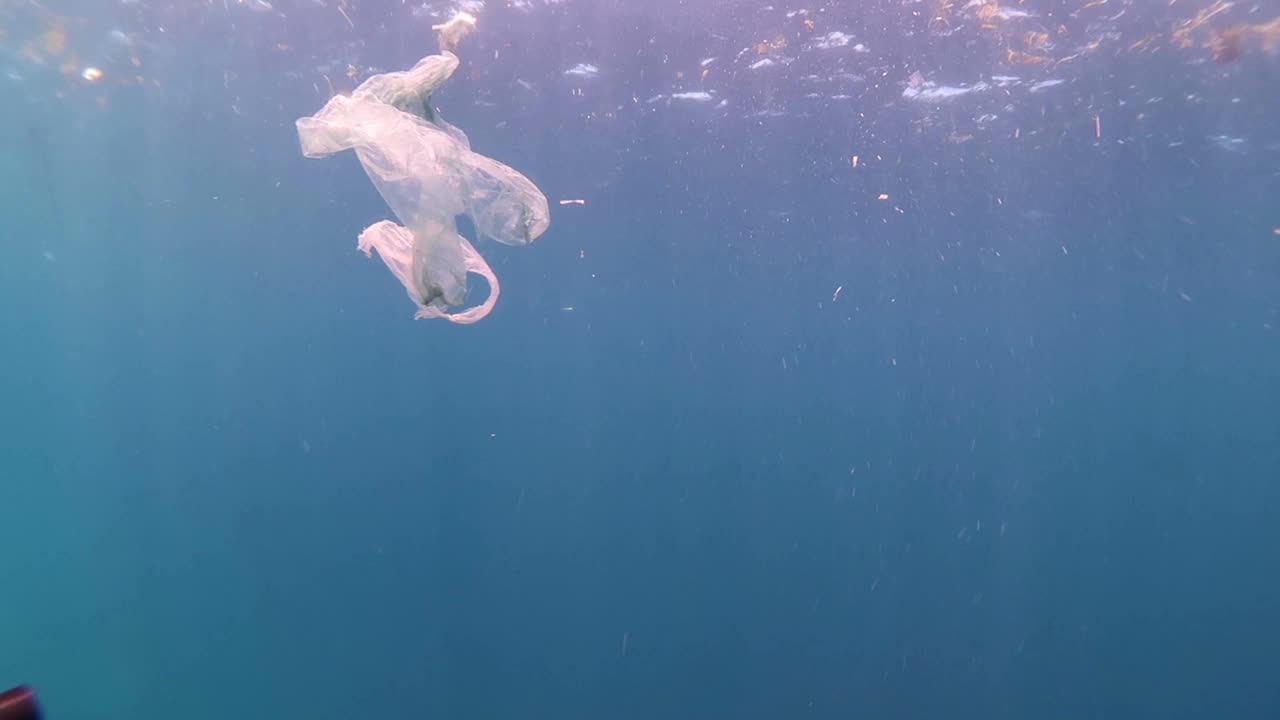 海洋中漂浮着塑料垃圾视频下载