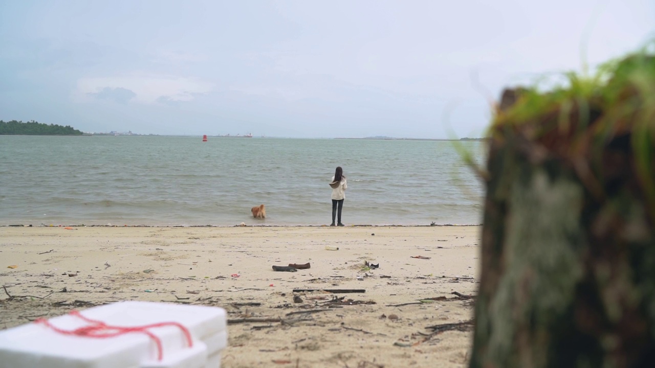 一名亚裔中国妇女和她的狗站在海滩边视频下载