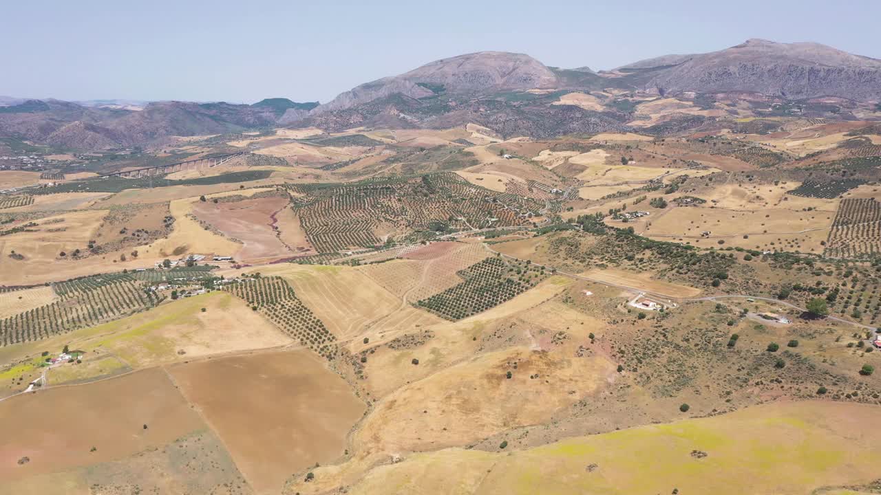 西班牙的乡村。丘陵地带有农业。橄榄树农场。视频下载