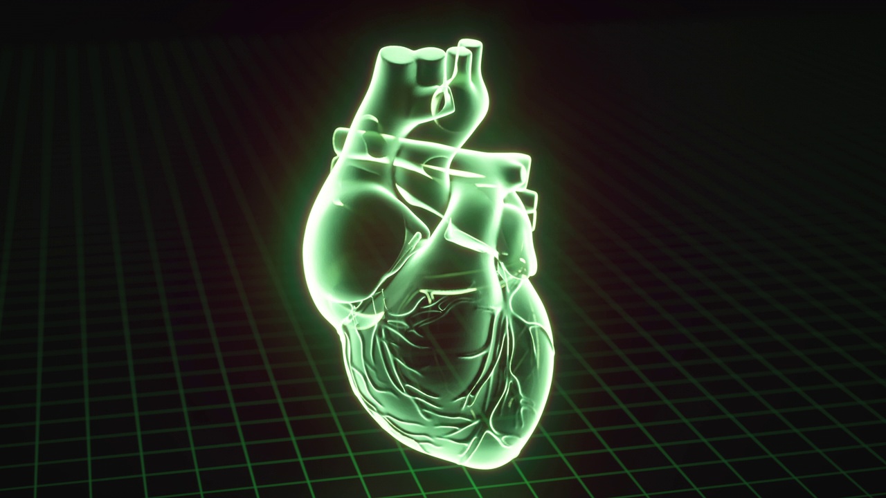 人类心脏动画视频下载
