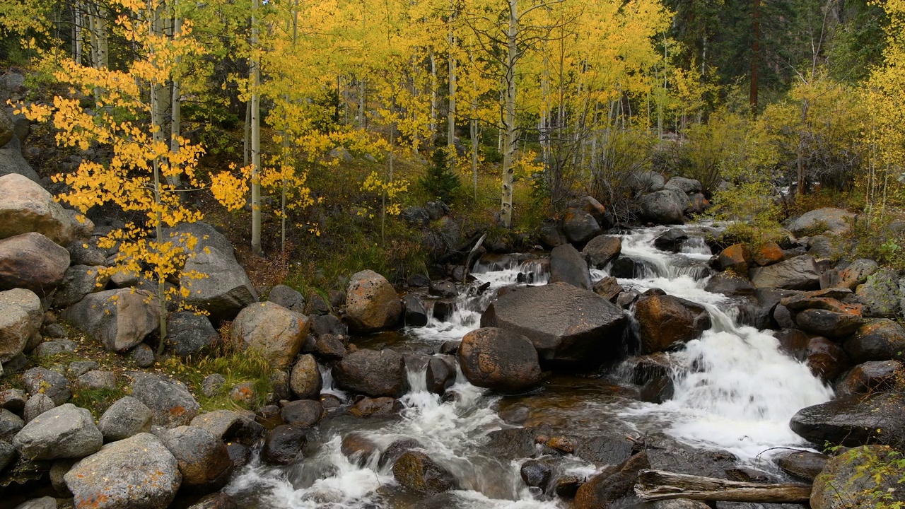 秋山小溪——在美国科罗拉多州格兰特附近的瓜内拉山口风景小道上，一个小小溪瀑布在秋天的景色。视频下载