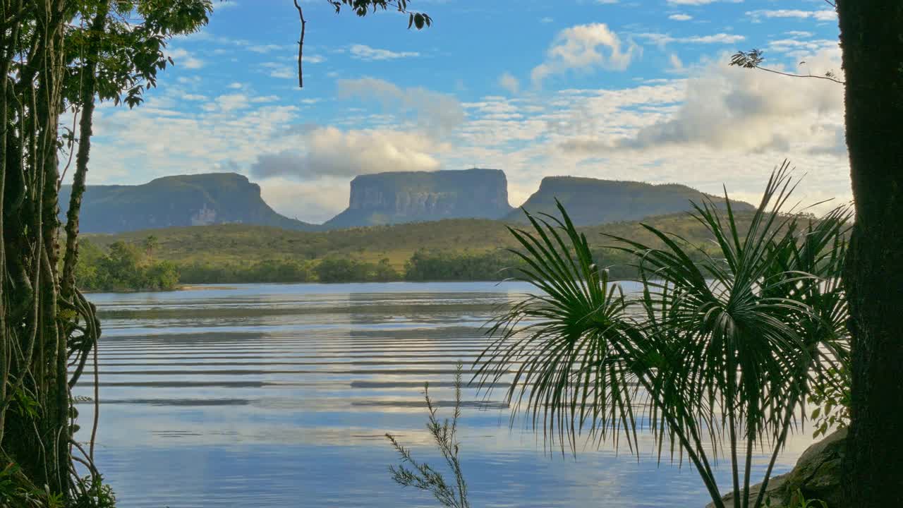 委内瑞拉国家公园Canaima National park的Kusary和Kurawaik Tepuis and Carrao river视频下载