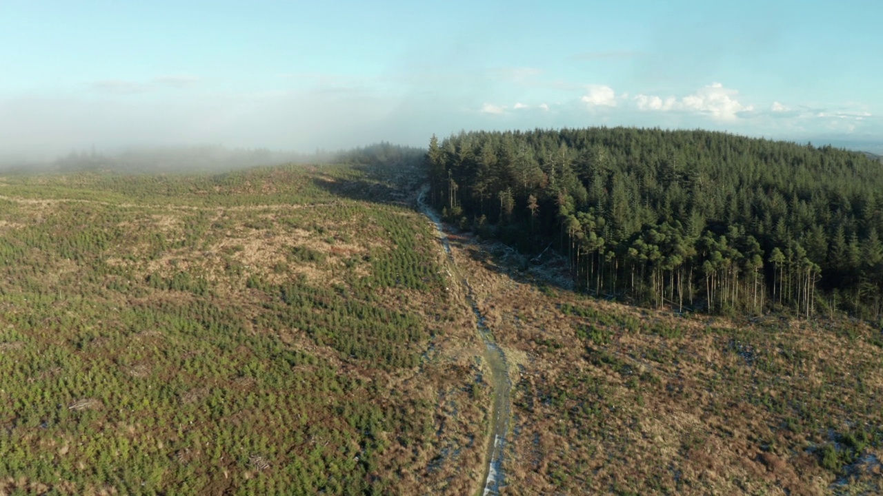 北爱尔兰乡村和森林的鸟瞰图视频素材