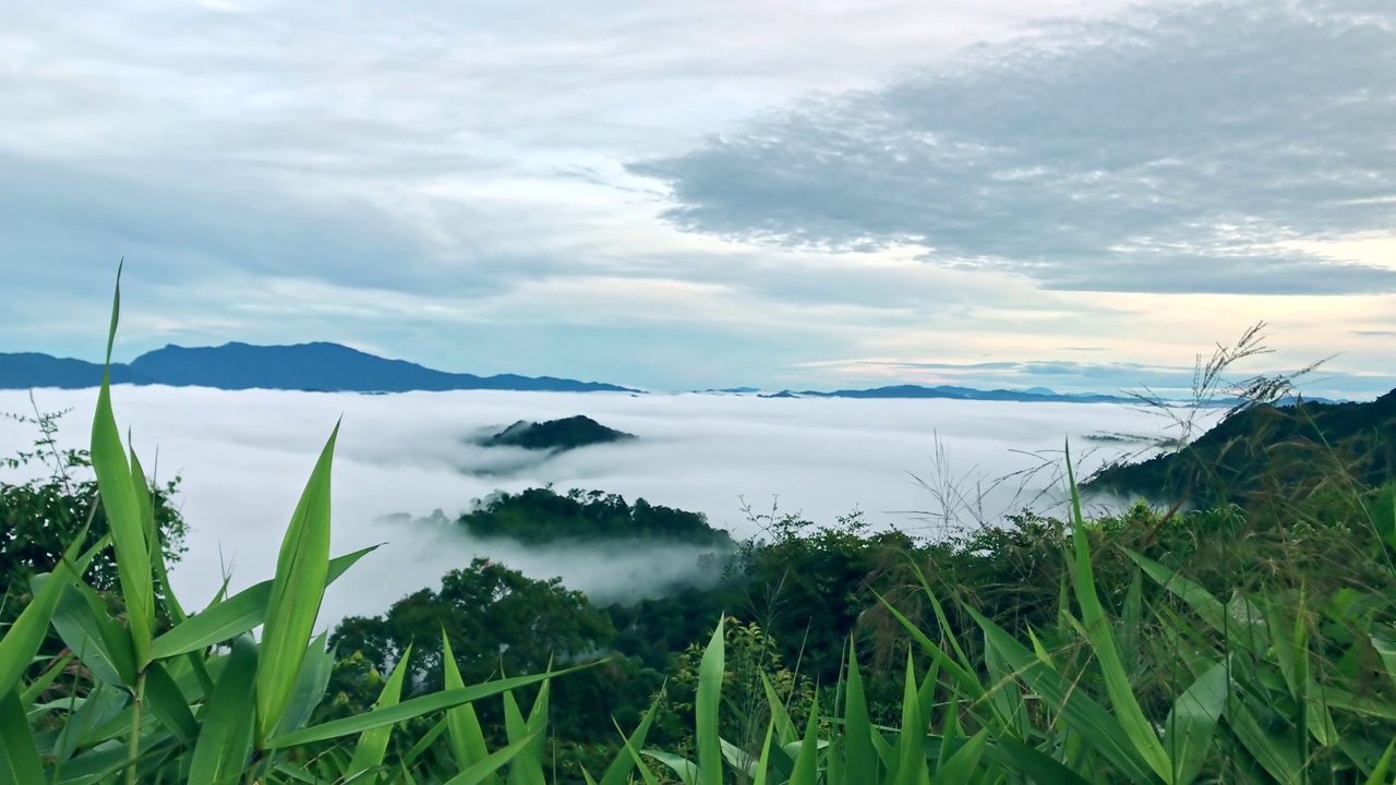 在泰国热带雨林的早晨，神秘的高山上的自然风景。山顶上云雾缭绕视频素材