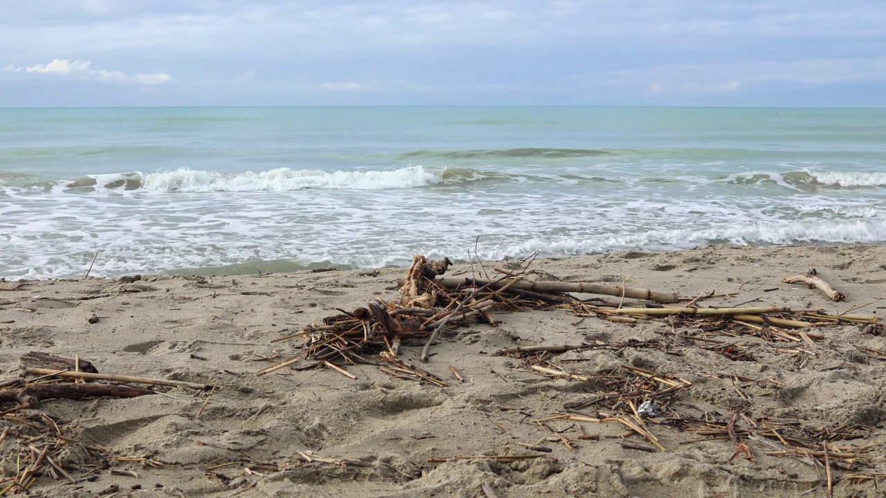冬季海洋-海浪和自然来源的海滩材料，如贝壳，小木材，芦苇，一般灌木丛和海岸线上的原木视频下载