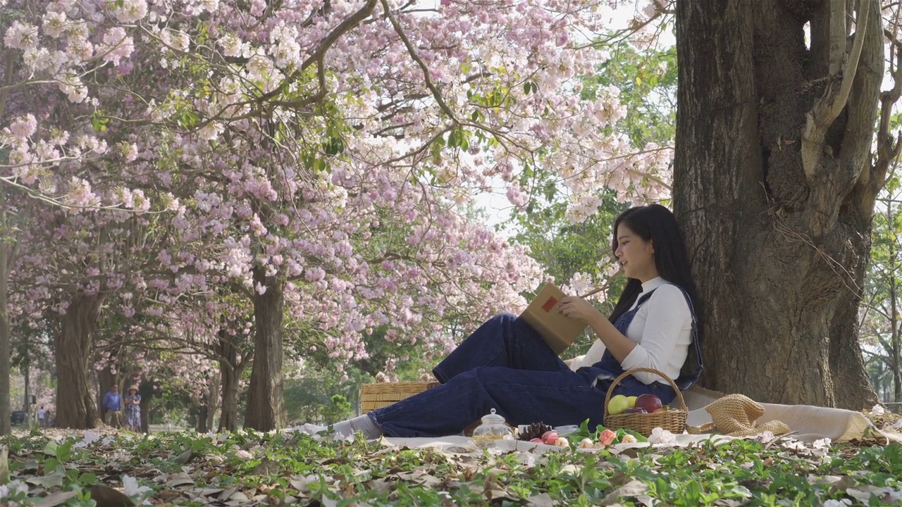 年轻漂亮的女人坐在公园里看书。视频下载