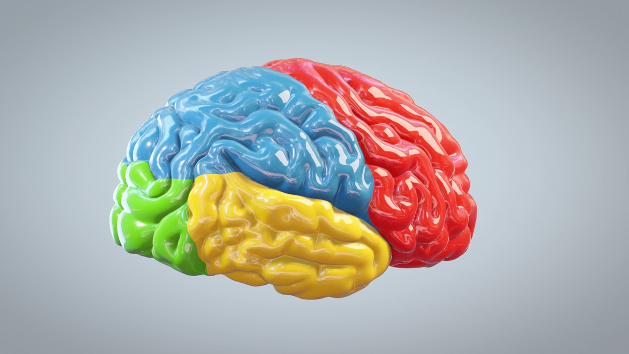 3d彩色大脑旋转，伟大的思想概念，循环，Luma Matte视频素材