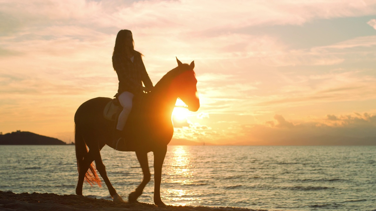 电影的剪影的一个女人骑在海边海滩上散步的马在日落。女骑手享受她的幸福，乡村生活方式和自然。自由的概念视频下载