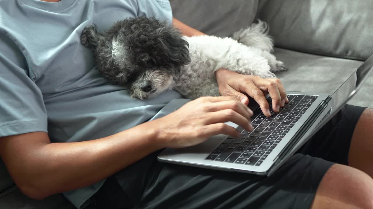 一个商人在家里带着狗在笔记本电脑上工作视频下载