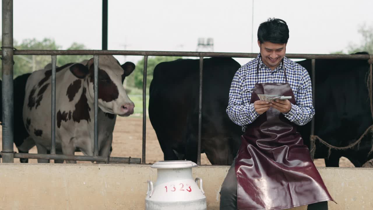 在奶牛农场的牛棚里与奶牛一起工作的农场主在马厩里使用叉子。视频下载