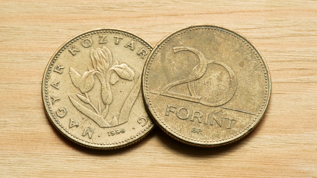 20匈牙利福林2枚20福林硬币，侧面和反面，物体宏观，极端特写，细节，没有人。匈牙利，匈牙利货币，财政经济。世界货币概念，没有人视频下载