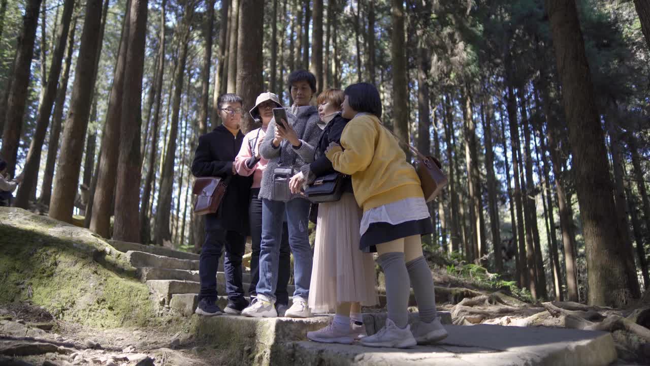 亚洲华人家庭到台湾阿里山森林旅游视频下载