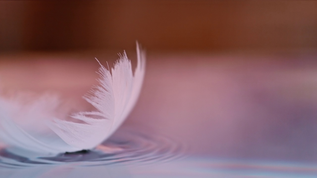 超级慢动作白色羽毛落在水面上视频下载