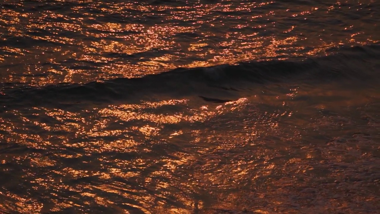在印度果阿的日落期间，在卡波德拉玛海滩上的海浪。南果阿邦海滩上的日落。自然日落背景。海浪冲击着海滩的海岸。视频素材