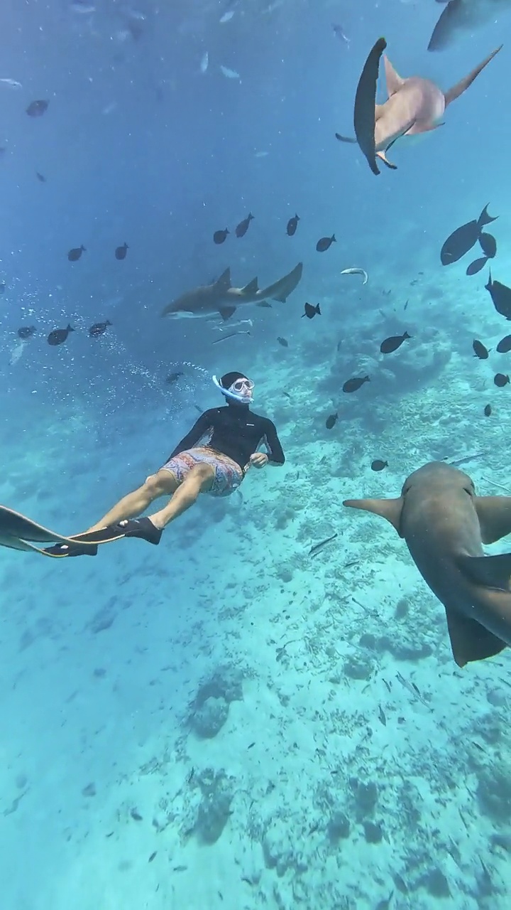 亚洲旅行者男性潜水服自由潜水脚蹼在蓝色的海洋中与鲨鱼游泳度假视频下载