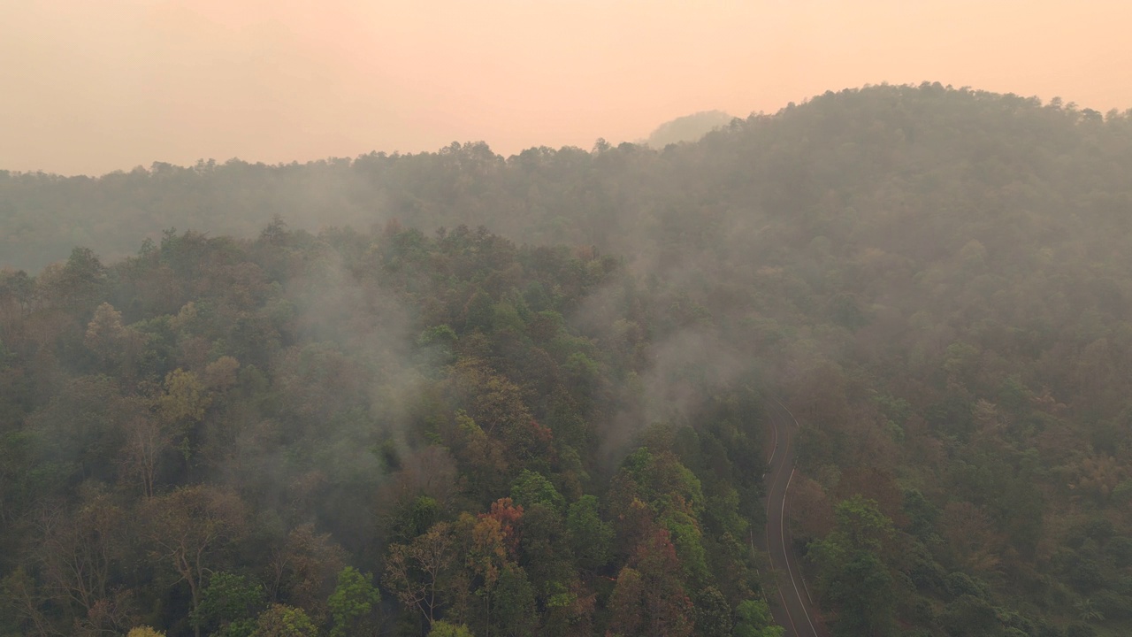 干燥森林中野火烟雾的鸟瞰图视频素材