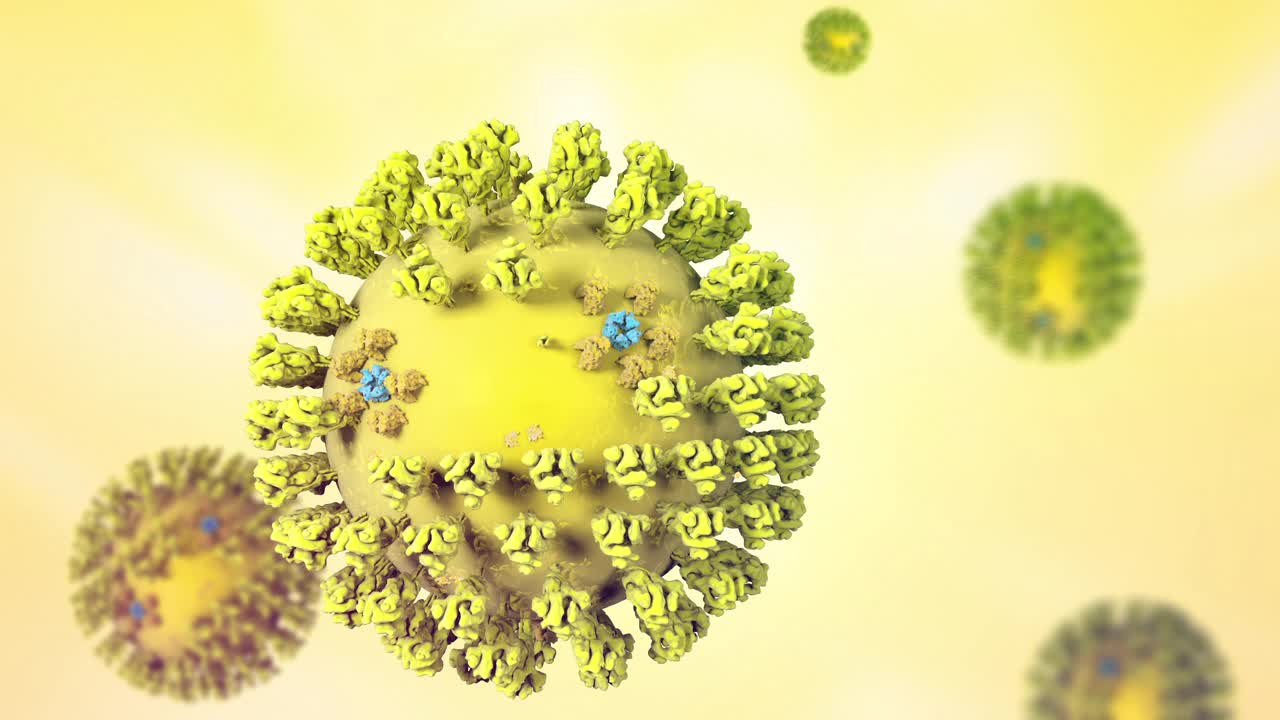 冠状病毒颗粒，动画视频下载